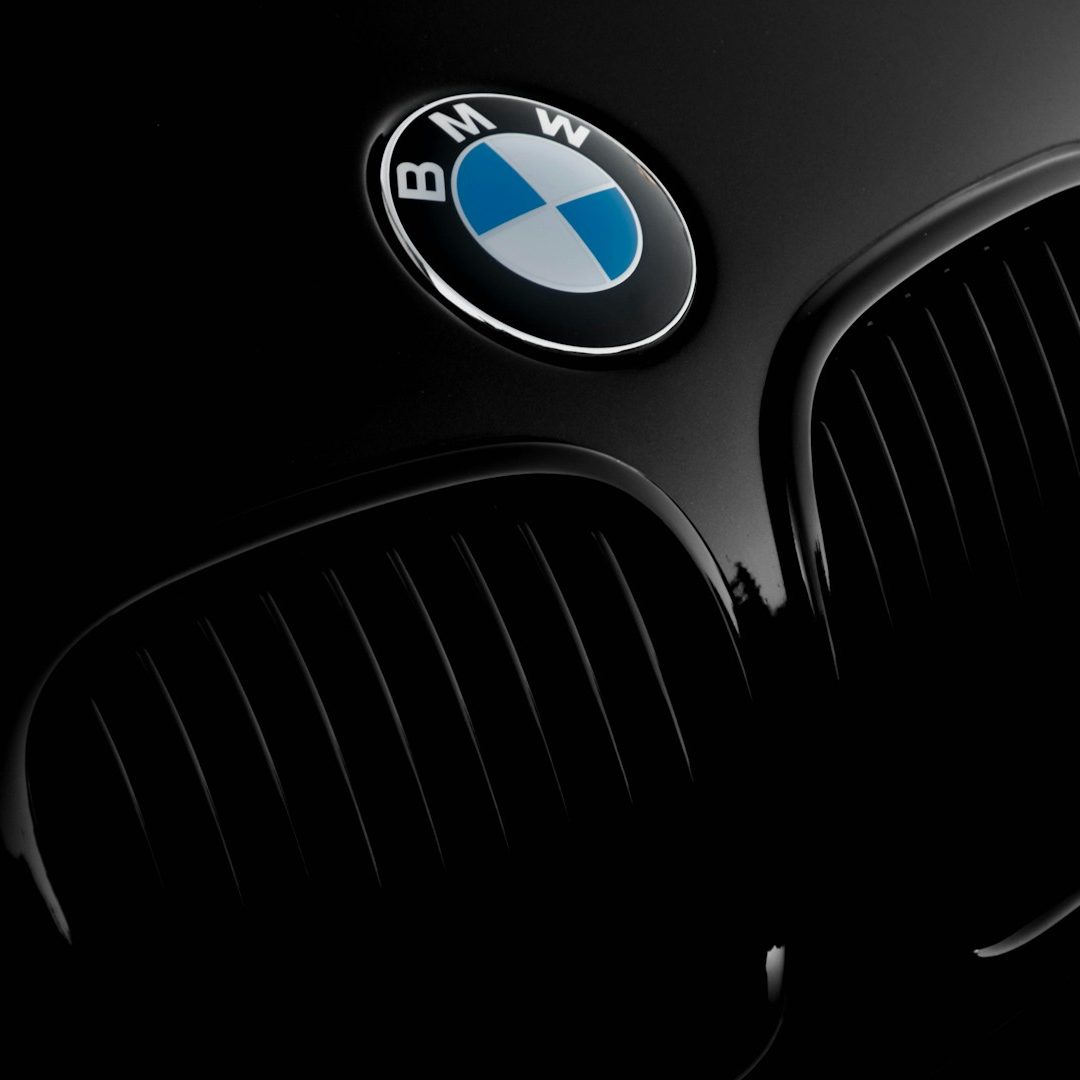 Schwarzer Autokühlergrill mit BMW-Logo in der Mitte.